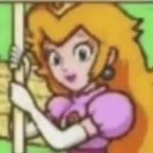 Meet your Posher, Sarah-anne